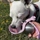 BuddyPup™ – Garrafa Portátil para Cães com Tigela de Silicone 2 em 1