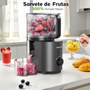 Extrator de Suco Cold Press - Bivolt